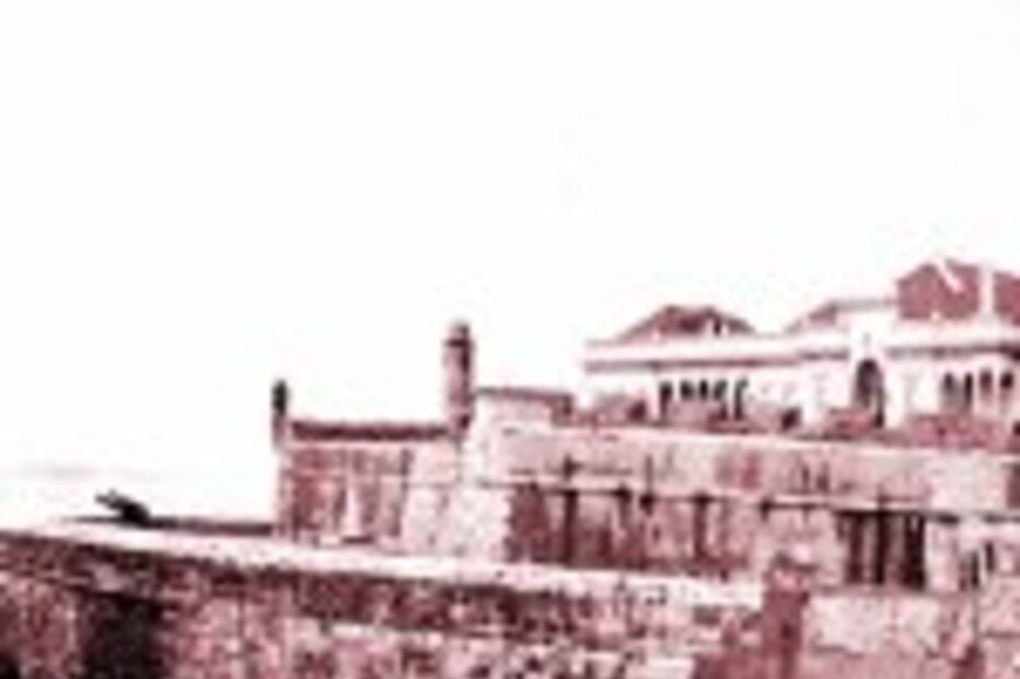 Costa Gomes fiel da balança