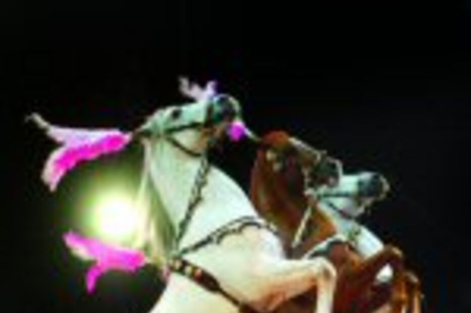 Senhoras e senhores o circo vai começar