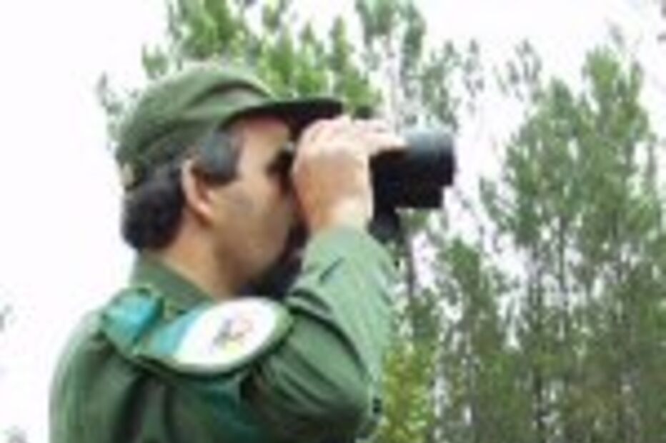 Guardas florestais não querem GNR