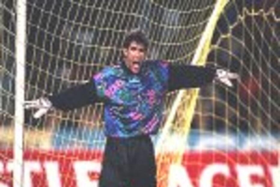 ROGER: UM CASO DE SUCESSO