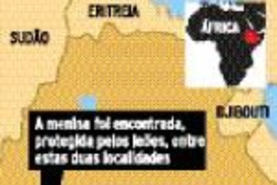 Leões salvam criança