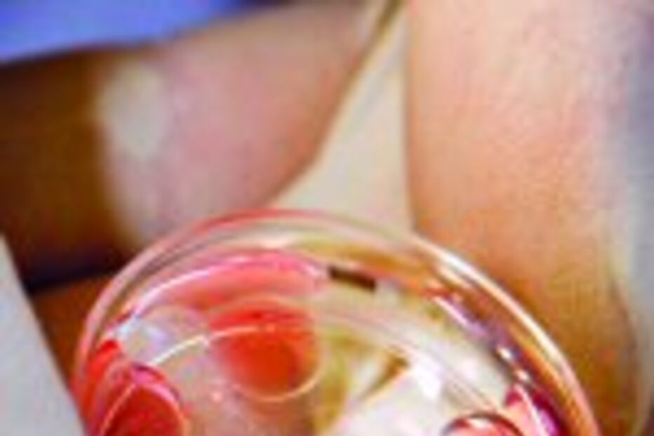 Óvulos vendidos em Espanha