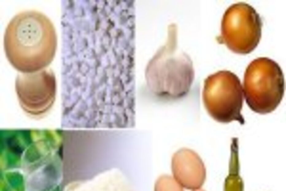 Algumas normas da Alimentação Biológica