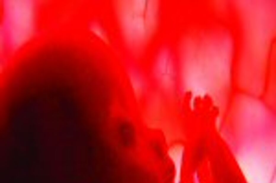 A mão que embala o berço da Ciência