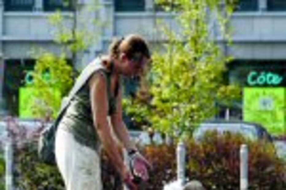 Vaga de calor sem tréguas