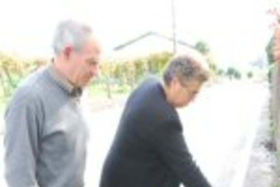 Morte no regresso da escola