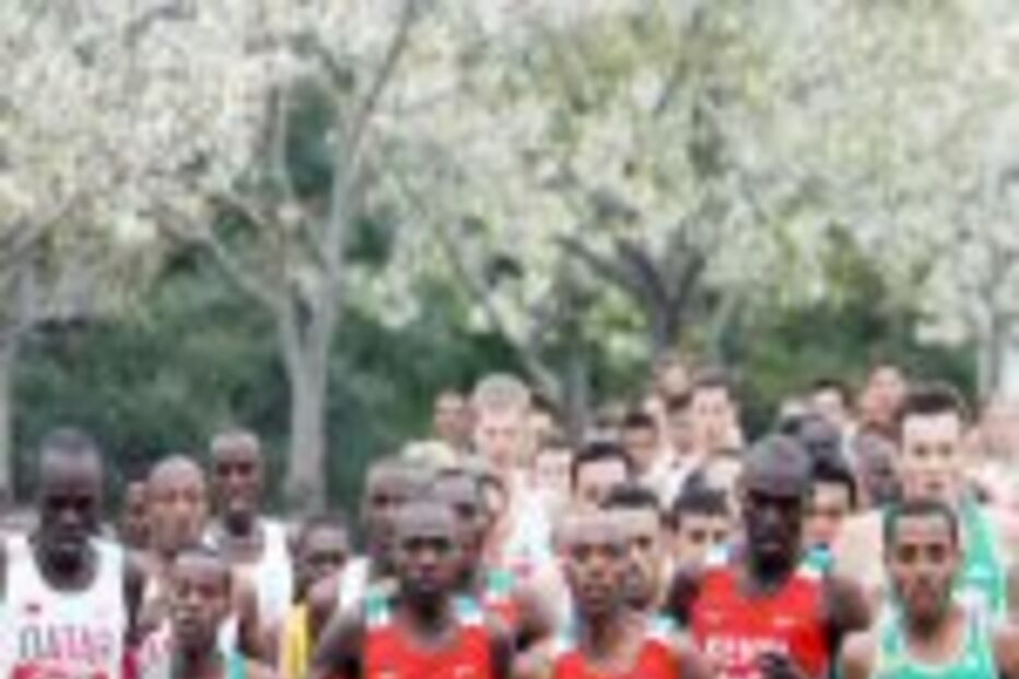 Portugueses muito discretos