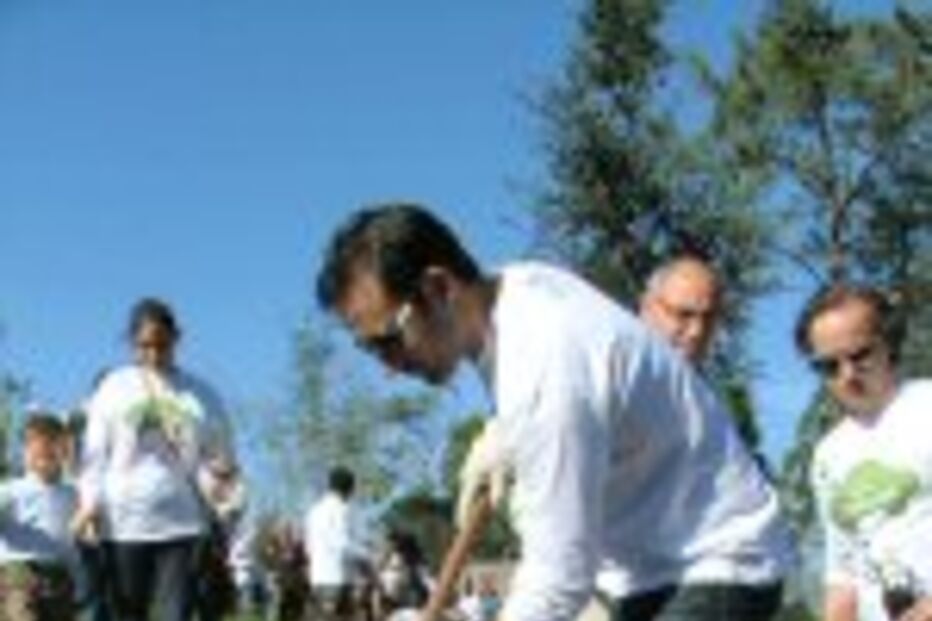 Mata de Vale de Canas ganhou cem árvores