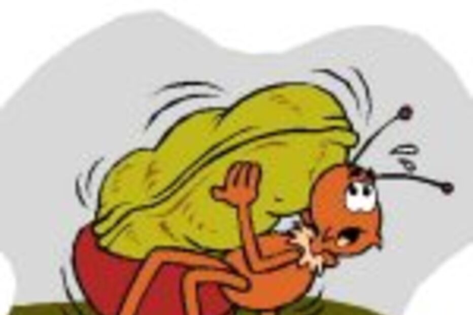 FORMIGAS FAVORECEM FAMÍLIA