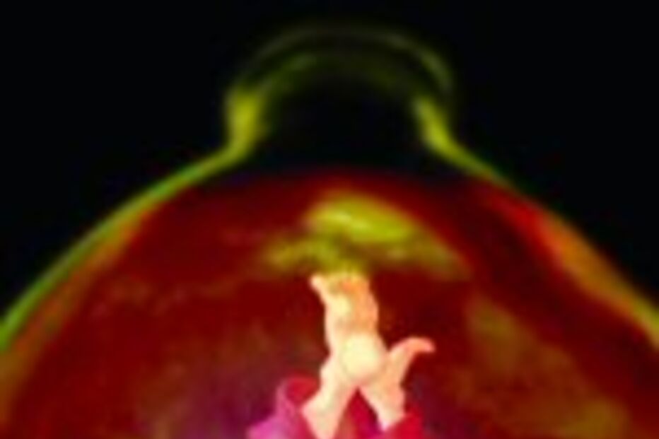 Portugal arrasado pelo vício do álcool