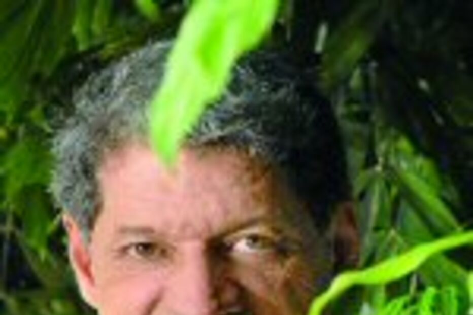 António Grassi regressa ao pequeno ecrã