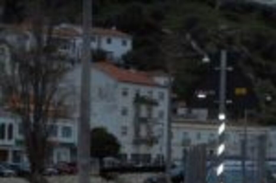 Munícipes de Alenquer indignados com abate de jacarandás