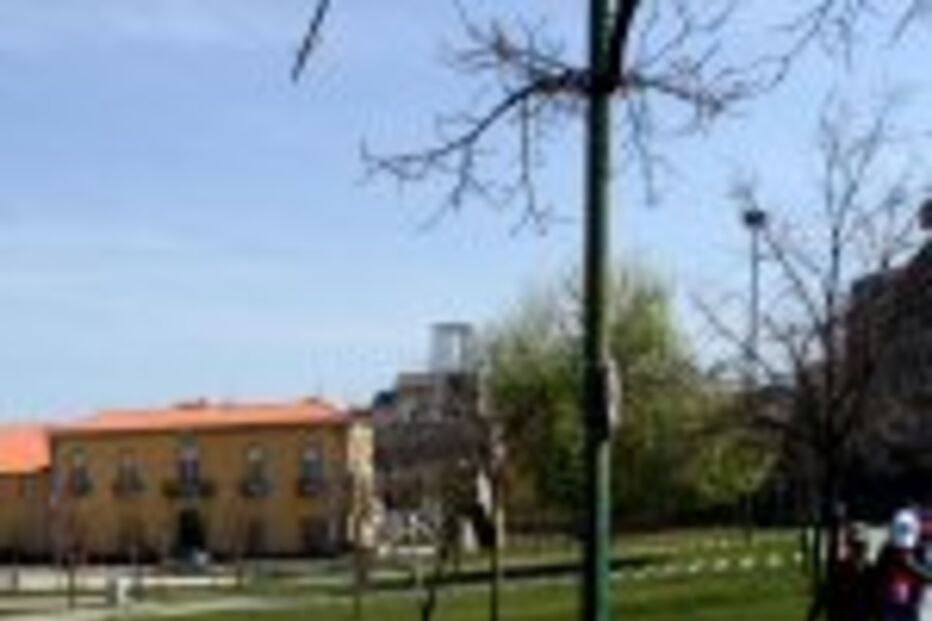 Docas em Castelo Branco