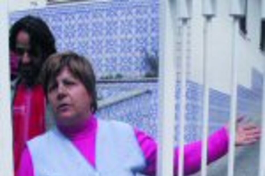 Jovem detido após assaltar sete casas