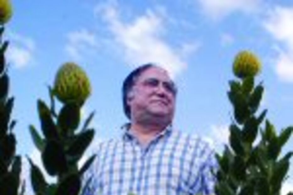 A Revolução em 20 hectares de flores exóticas