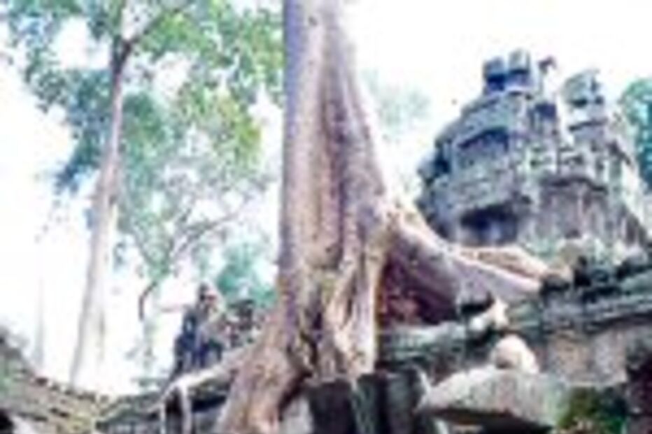 Extinção: Como seria a Terra sem humanos?