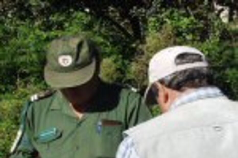 Caçadores furtivos atiram contra GNR