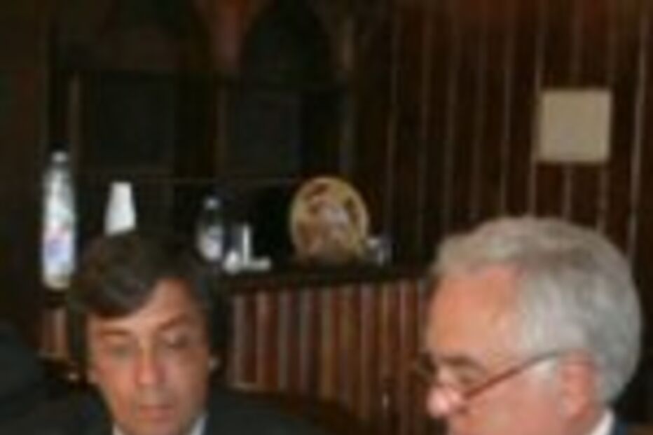 Presos de Sintra limpam florestas