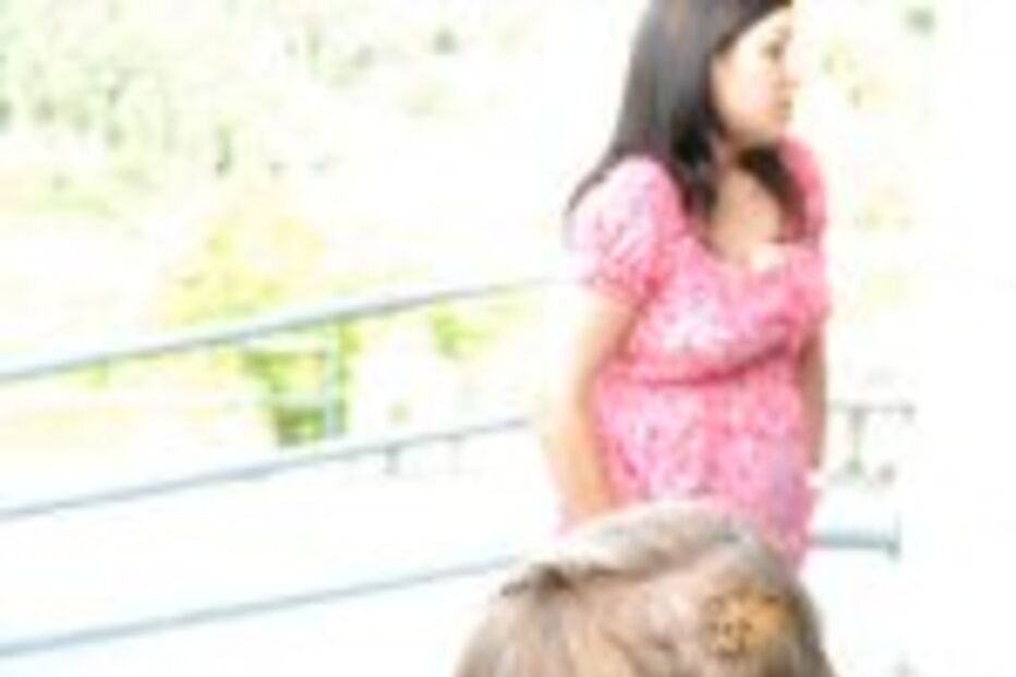 Crianças atacadas por um cão husky