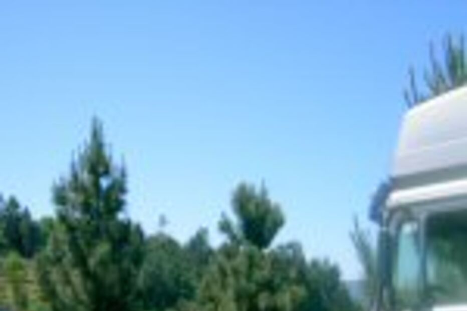 Choque na estrada mata pai e filha