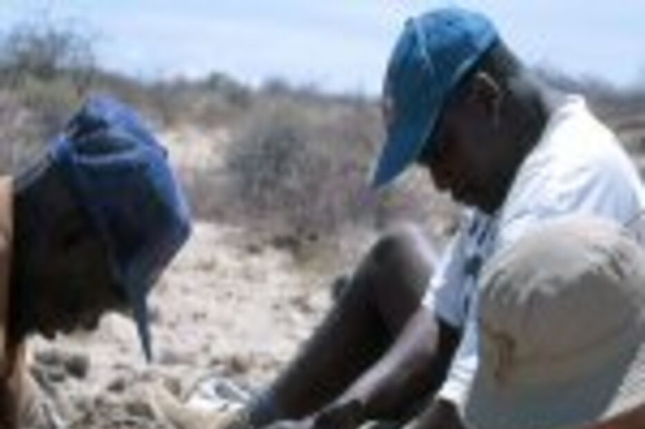 Descoberta baralha evolução do Homem