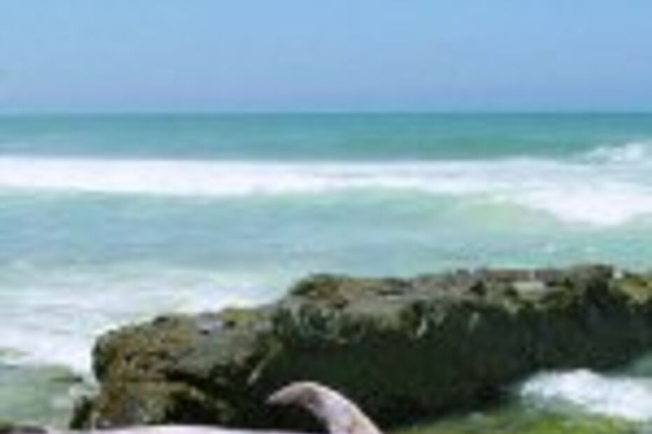 Praia do lagido, na zona da Ericeira