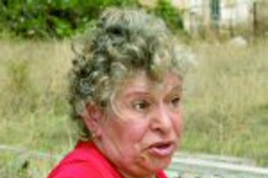 Pitbull sem vacina morde em mulher