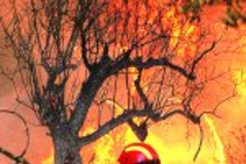 Dois fogos por circunscrever no Alentejo