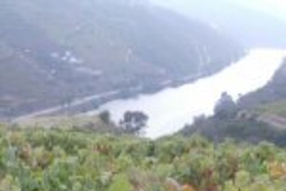 Chegaram as vindimas