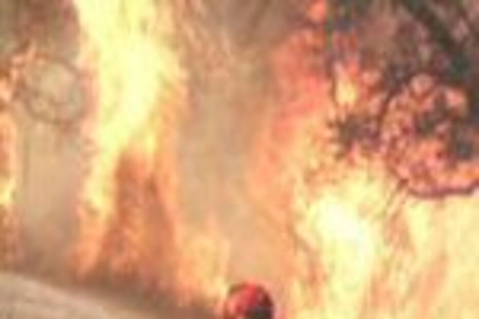 Vento dificulta combate às chamas