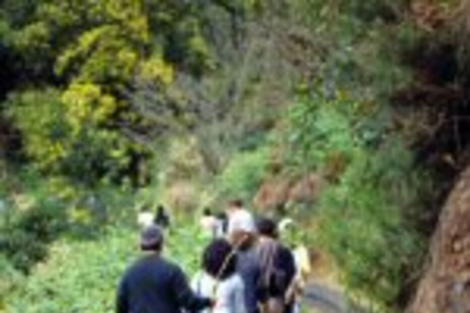 Levadeiros são carreira única