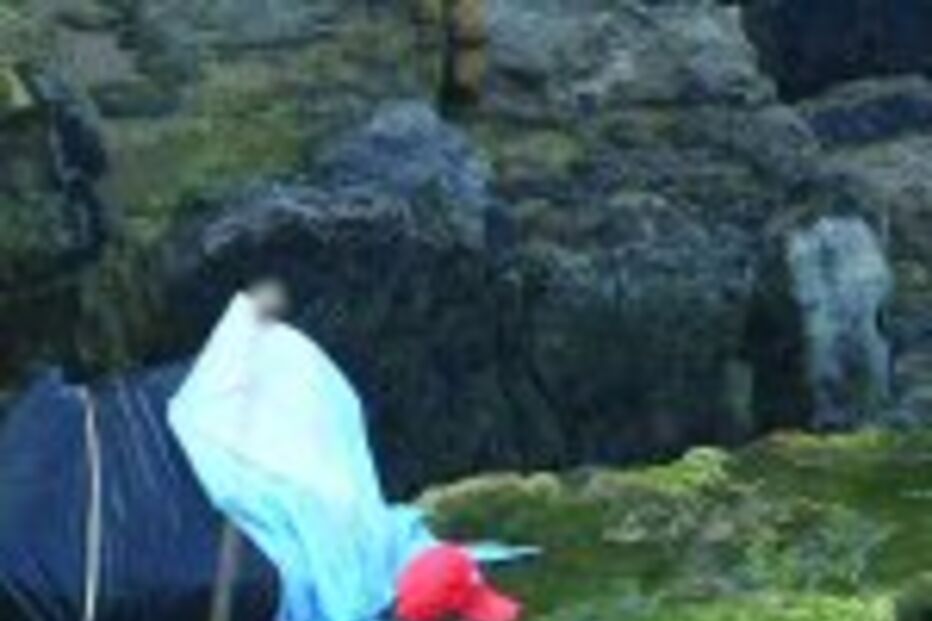 Corpo dentro de mala