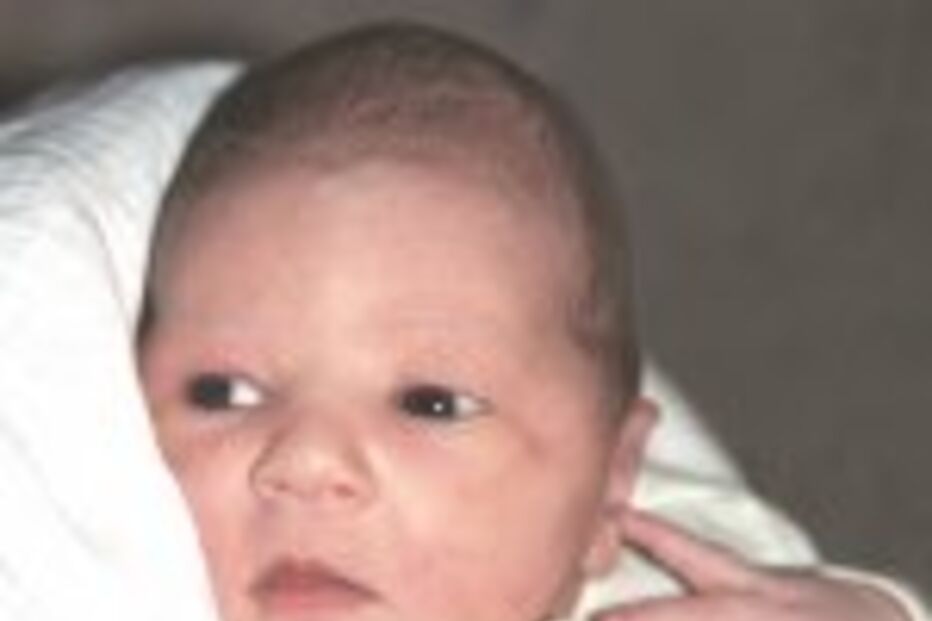 HERDEIRA CHAMA-SE INGRID ALEXANDRA