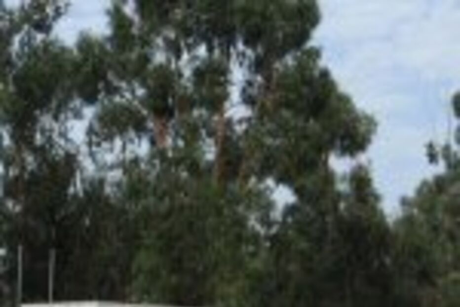 Moradores em Vale Flores pedem ampliação da escola básica