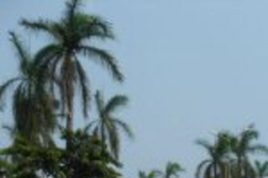 Detenção de Danda é política