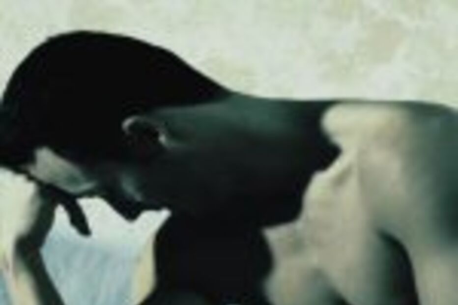 Descontentes com tamanho do pénis