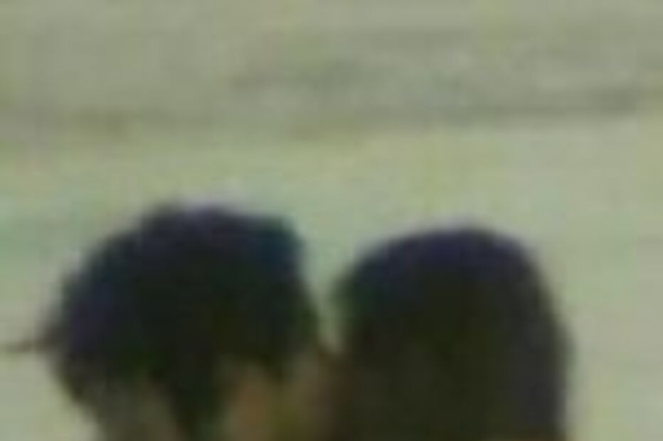 Daniella Cicarelli perde com YouTube