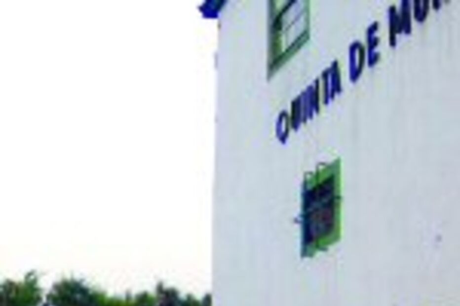 Aldeia sem autocarro devido a árvores de quinta