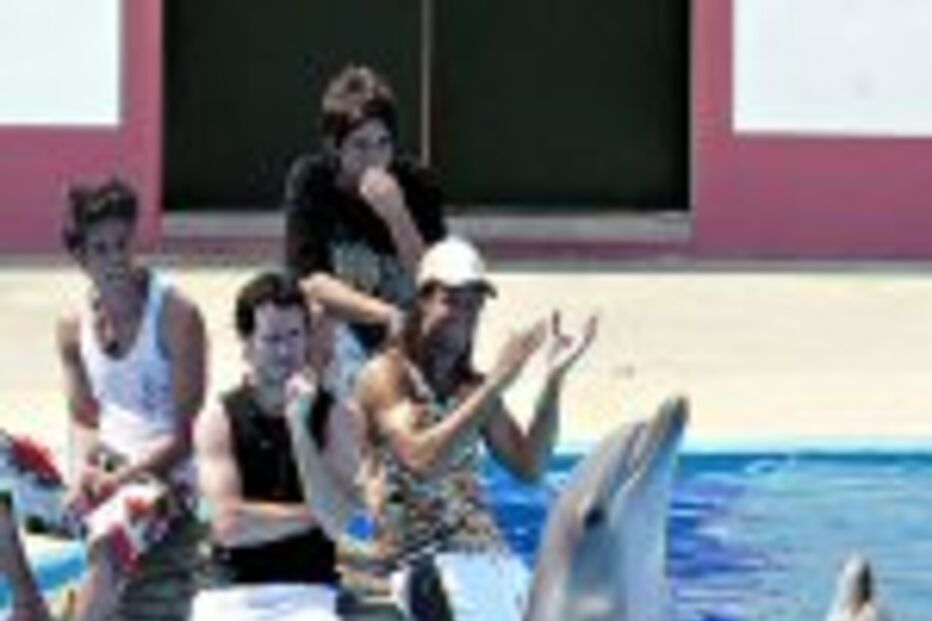 Com golfinhos no Zoo de Lisboa