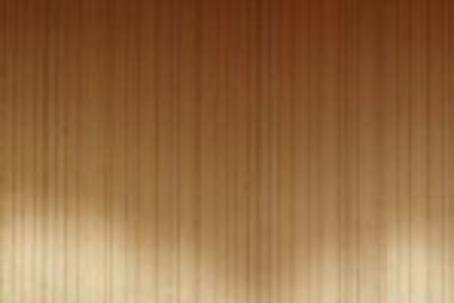 RTP prolonga Bom dia Portugal