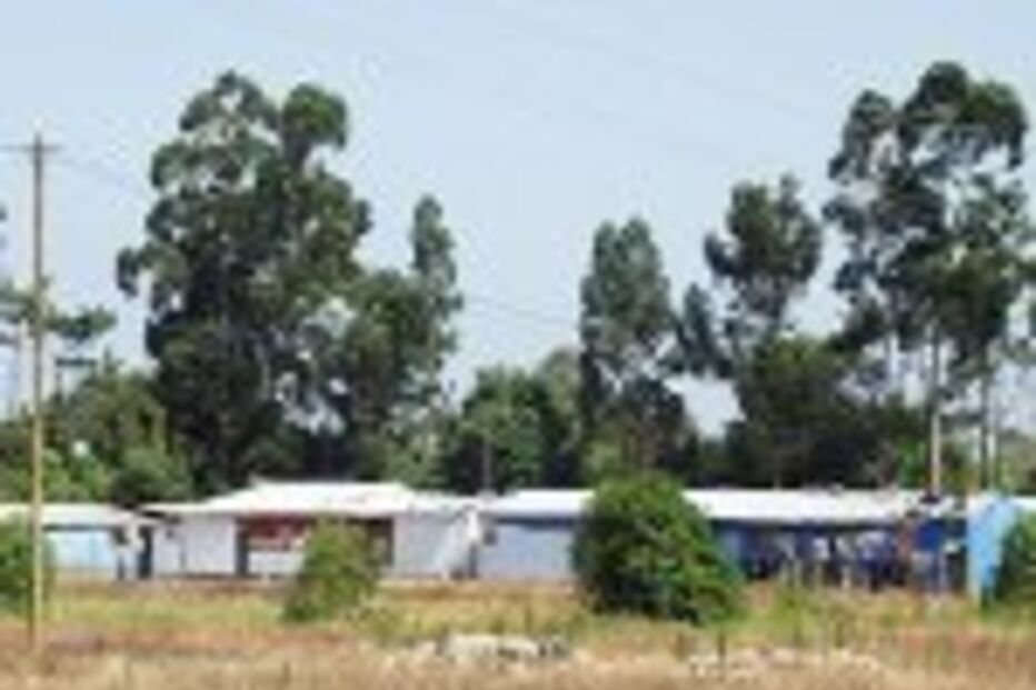 GANG DOS CAFÉS APANHADO DURANTE RUSGA EM ÍLHAVO