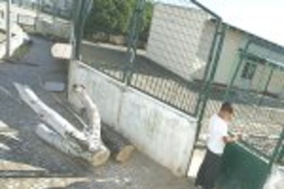 VENDAVAL VARRE O PAÍS