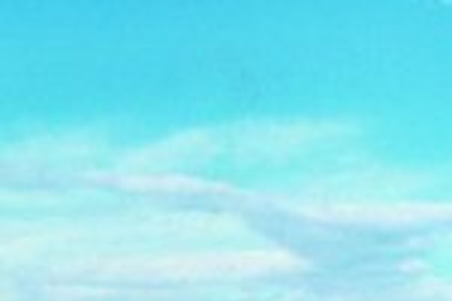 Falcon: Muitas horas de voo...