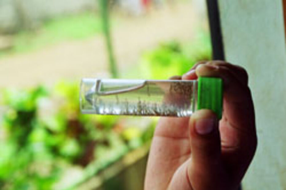 Identificado novo vírus mortal