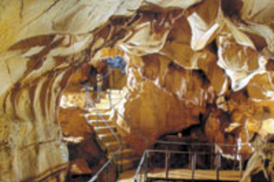 Grutas do Escoural reabrem hoje