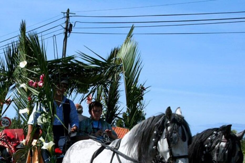 Cortejo do Círio em Carregal