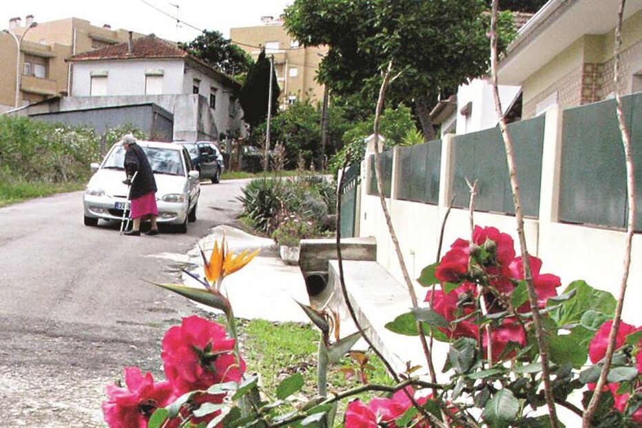 As flores eram papoilas de droga