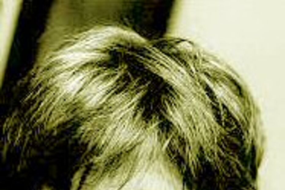 Prémio de Poesia para Ana Luísa Amaral