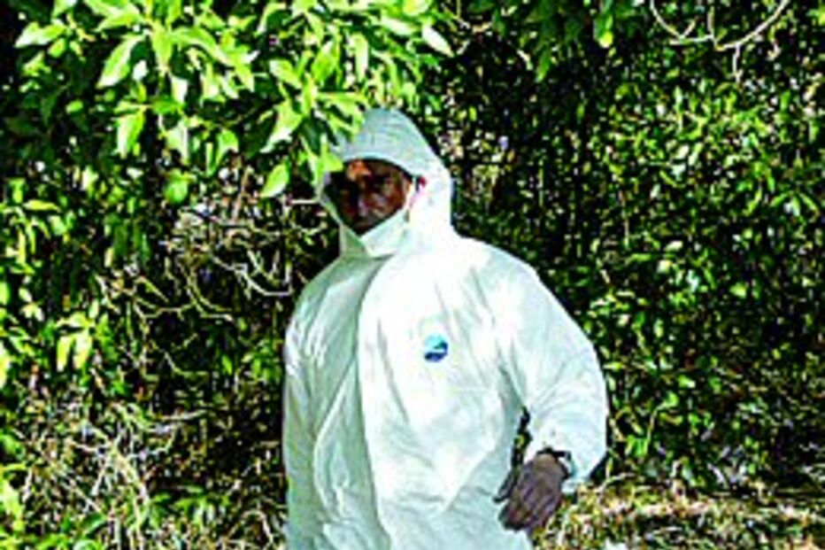 Homem assassinado à pancada