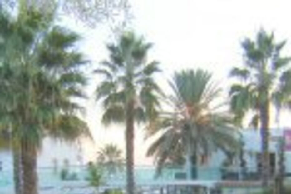 Real Madrid chega hoje ao Algarve